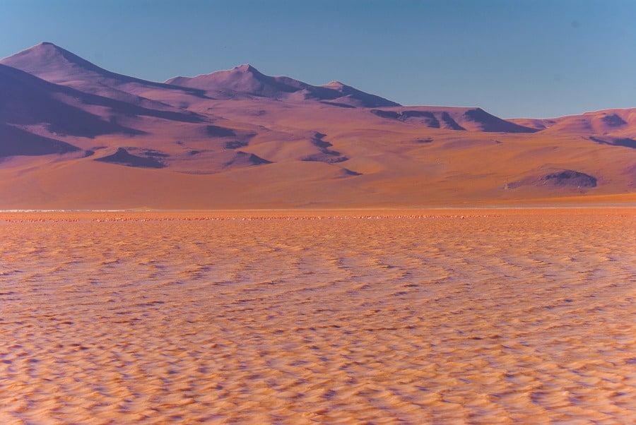 Laguna Colorada