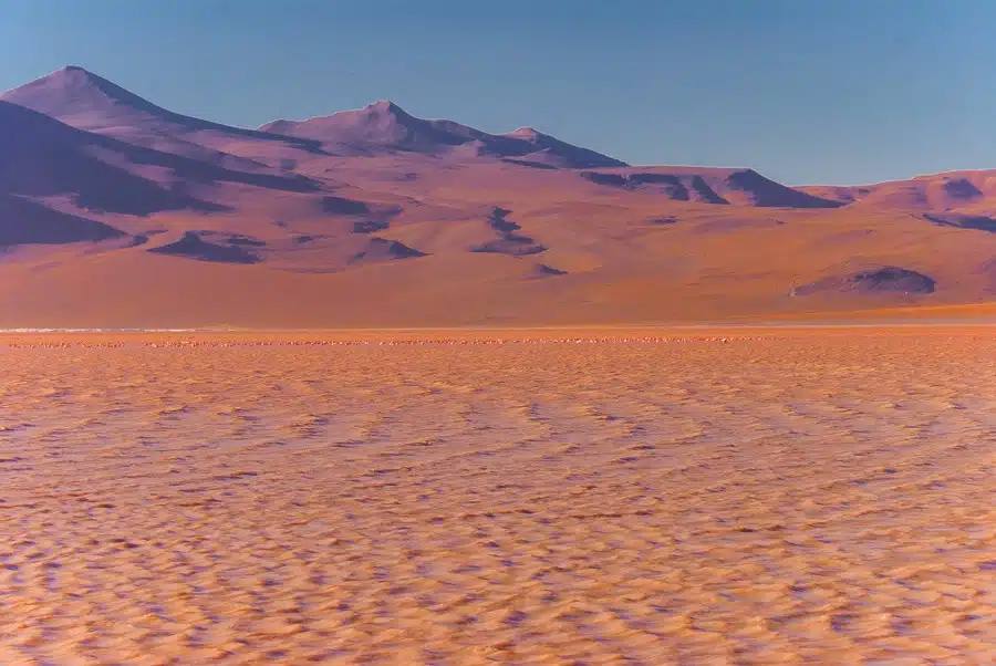 Laguna Colorada