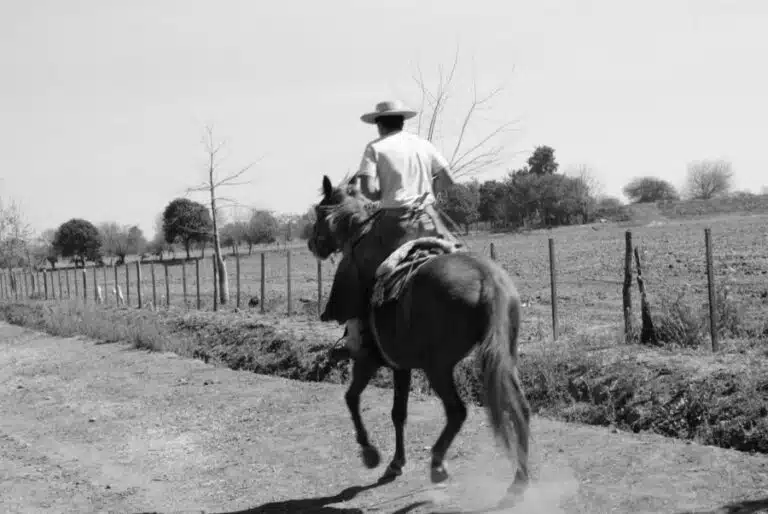 Horse Riding in Salta: Sayta Ranch