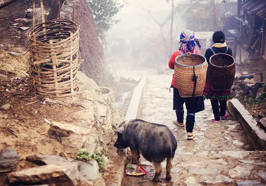 Hill Tribes, Thailand