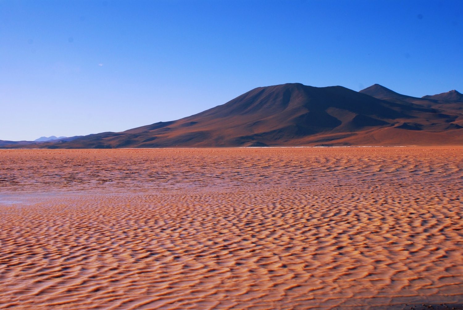 Laguna Colorada (Red Lake) Bolivia