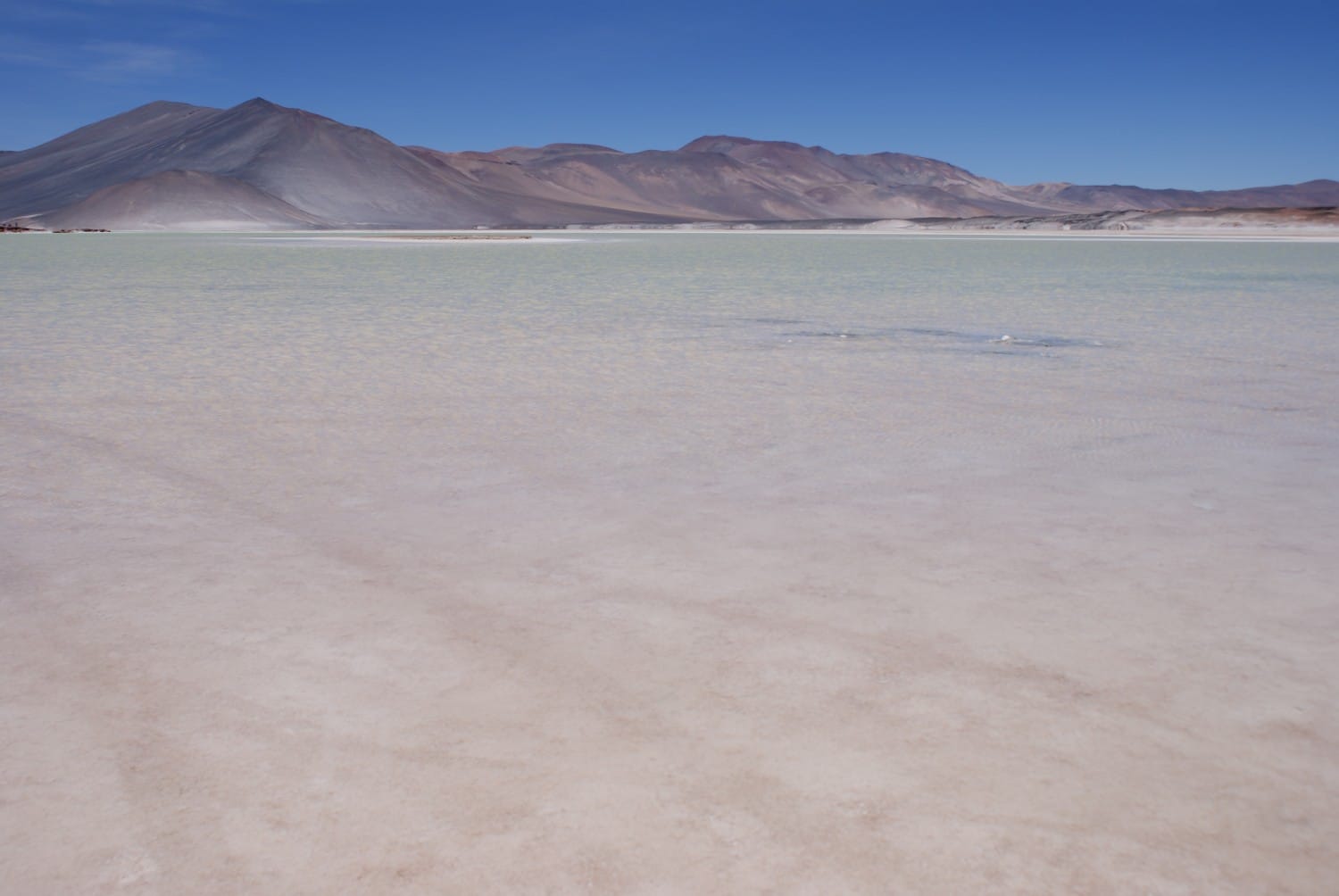 Atacama Desert Photos - Salar de Talar