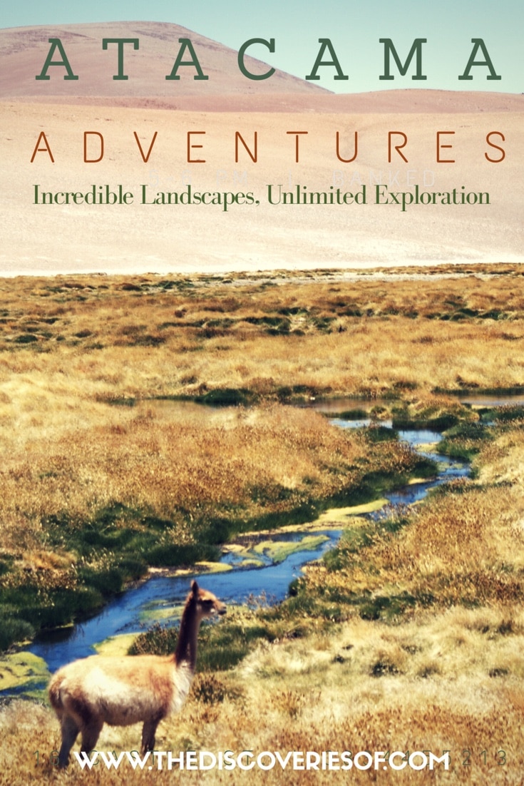 Adventure in the Atacama
