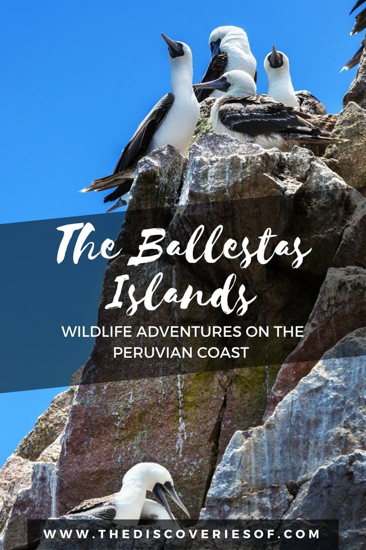 Ballestas Islands