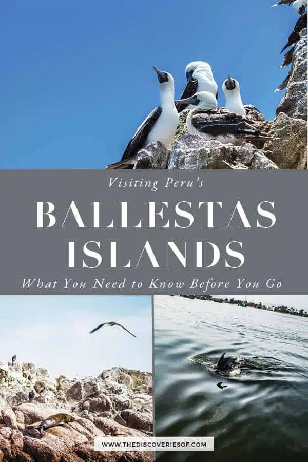 Ballestas Islands Peru