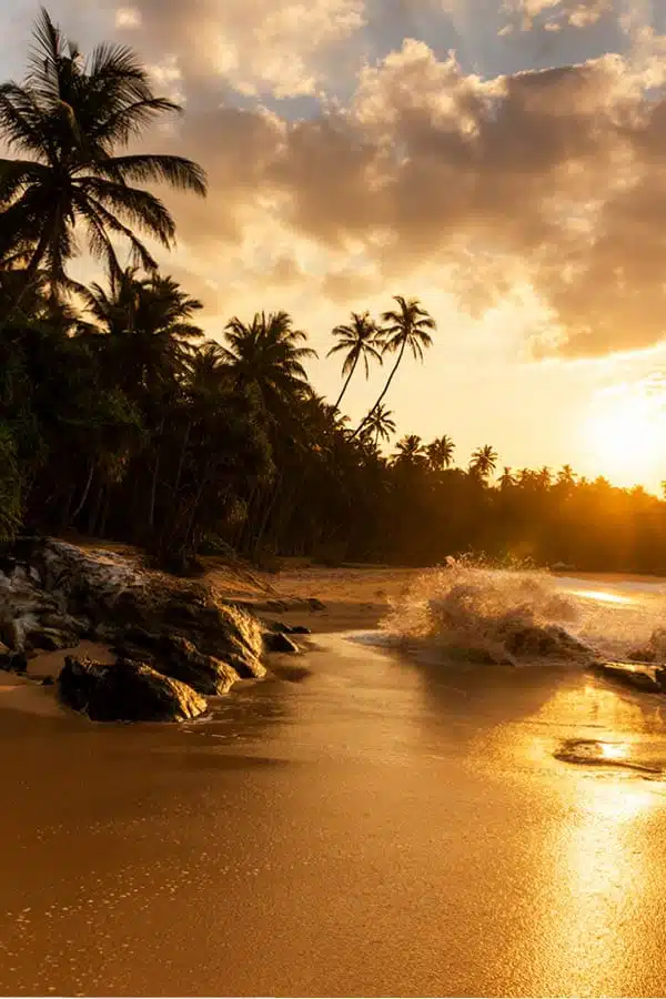 Barbados Beach