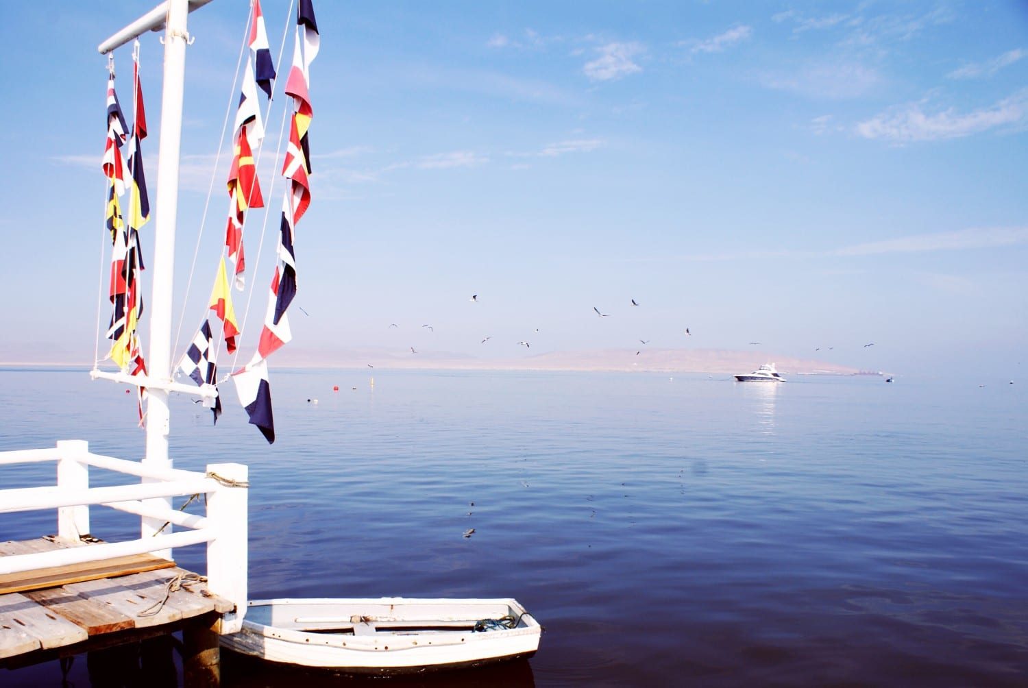 Birds and sea in Paracas before a tour to the Ballestas Islands