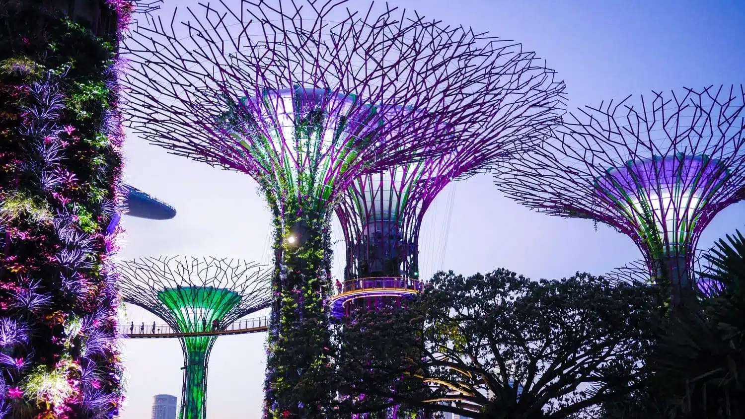 Cool Places in Singapore - Gardens by the Bay