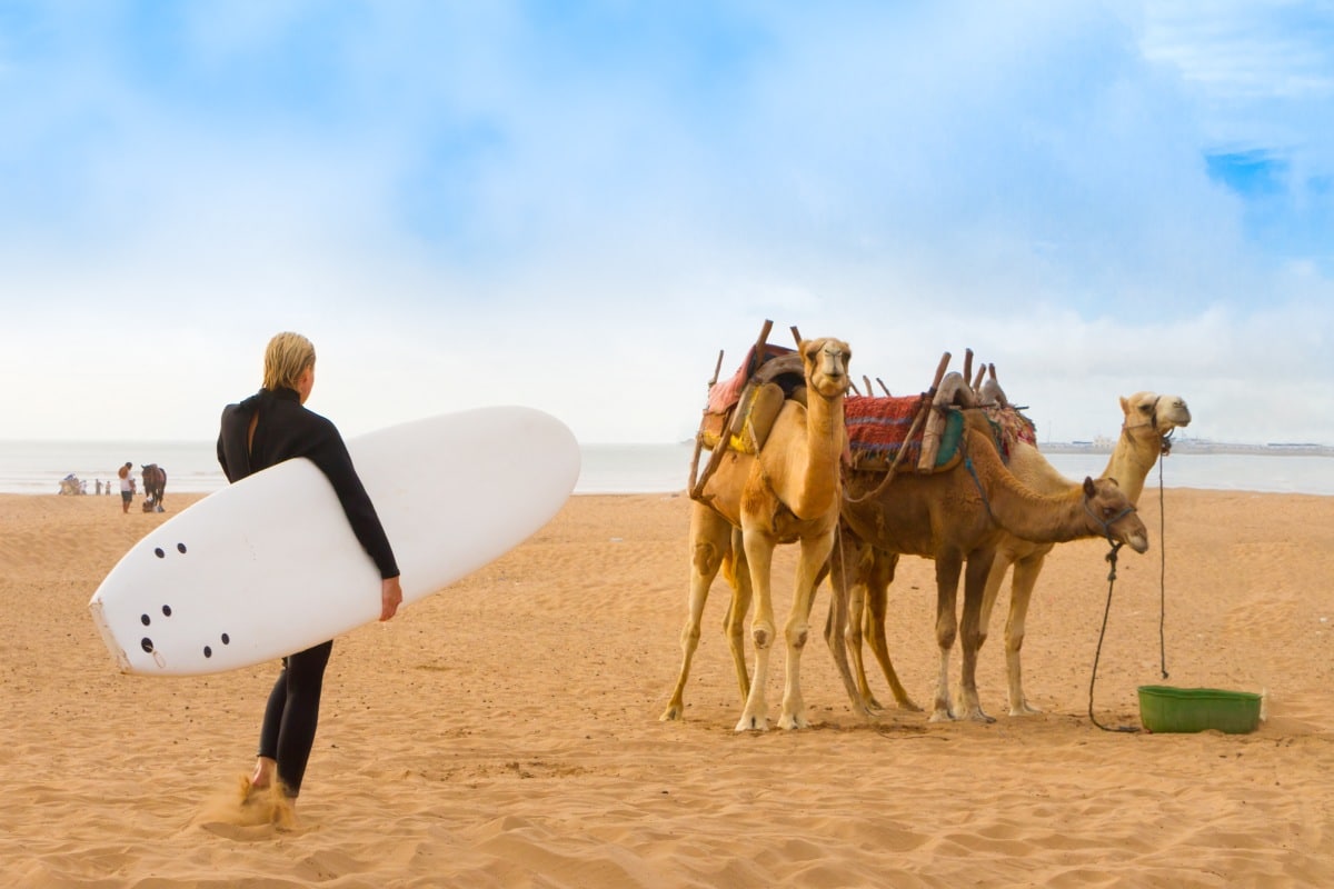 Surfing Essaouira