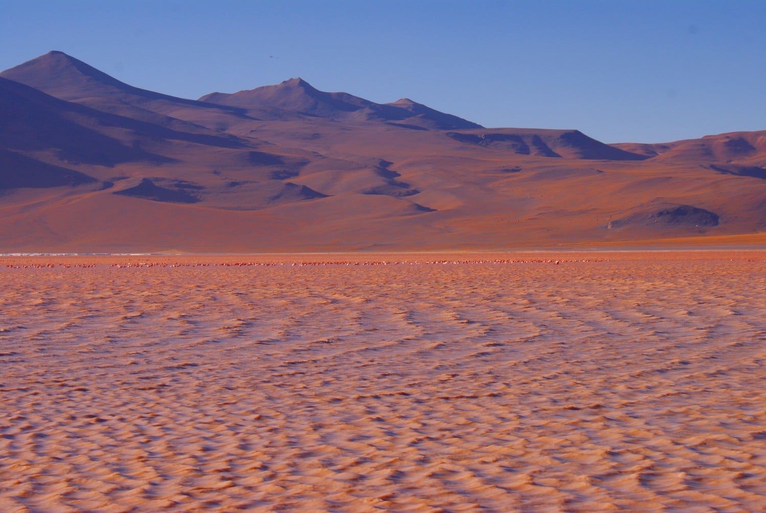 Laguna Colorada - Amazing things to do in Bolivia. Read more.