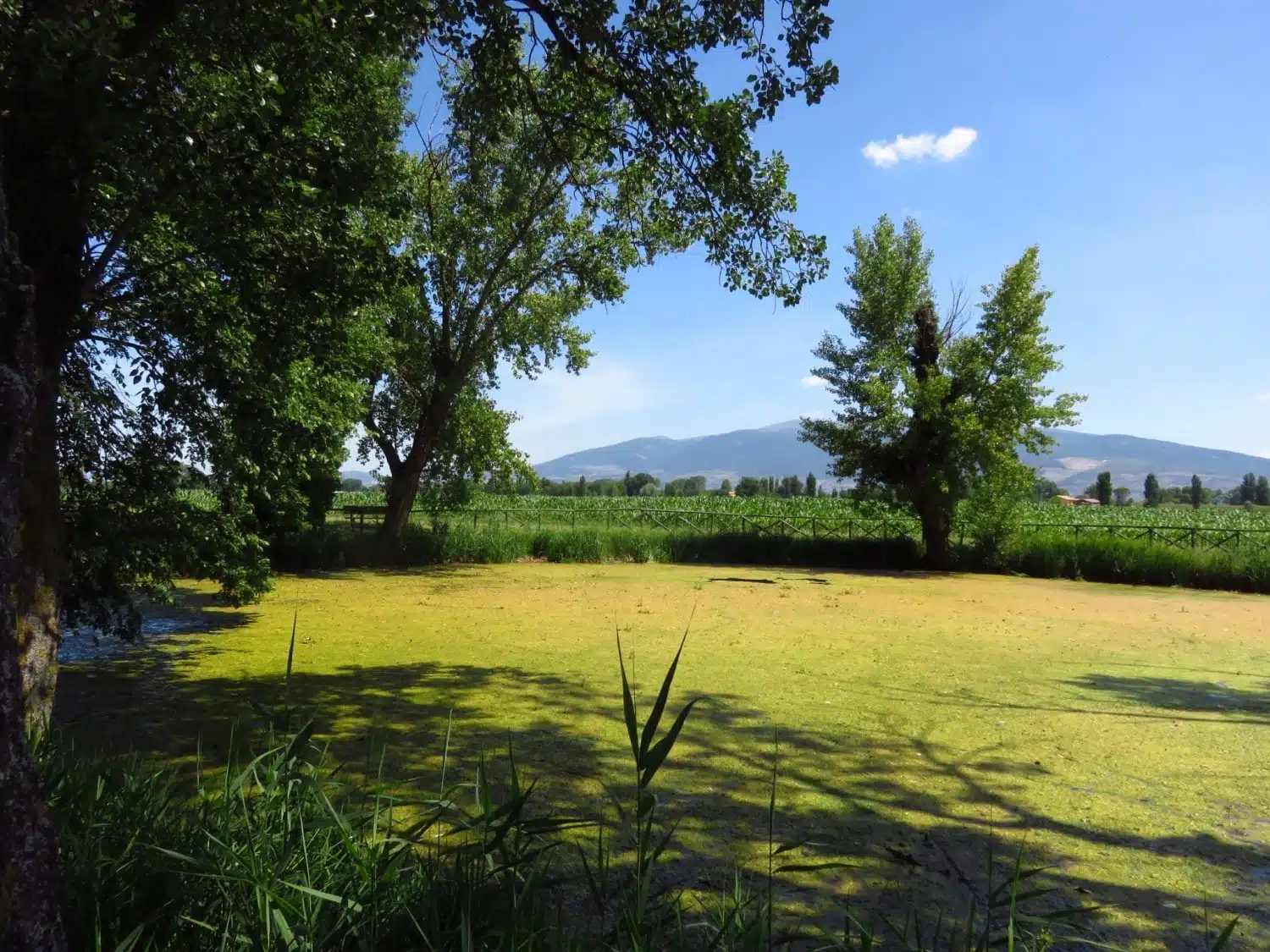 Cycling through the Umbrian countryside