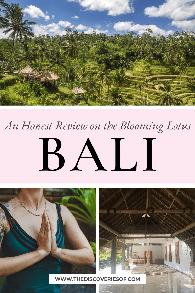 Blooming Lotus Bali Review – Yoga in Ubud