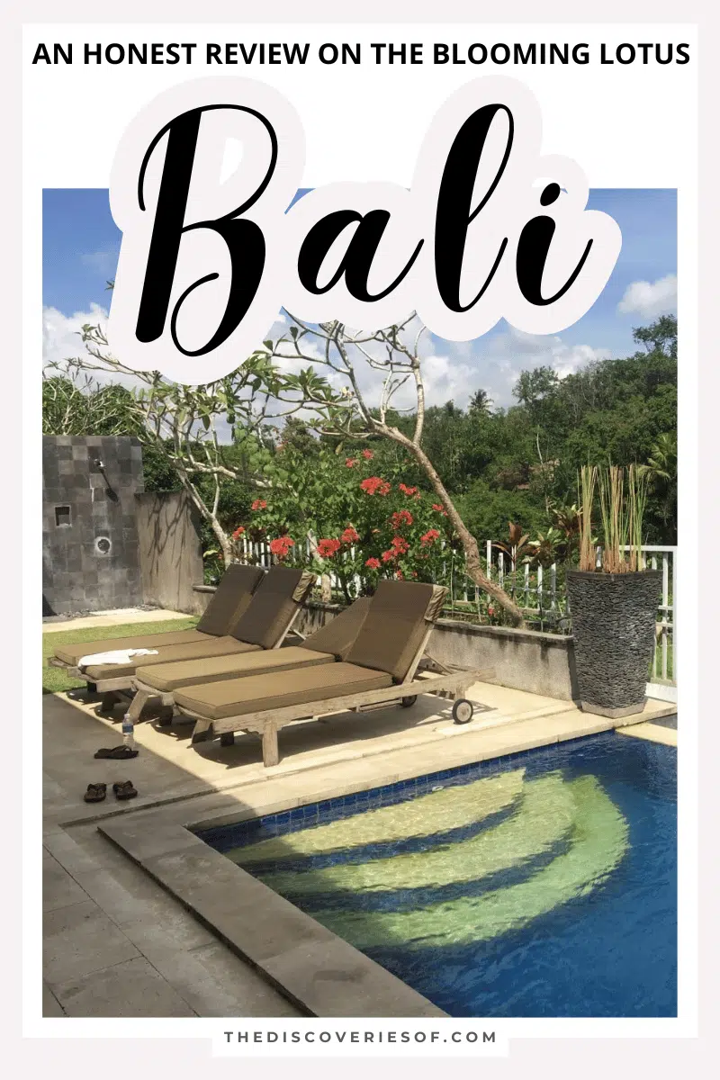 Blooming Lotus Bali Review – Yoga in Ubud