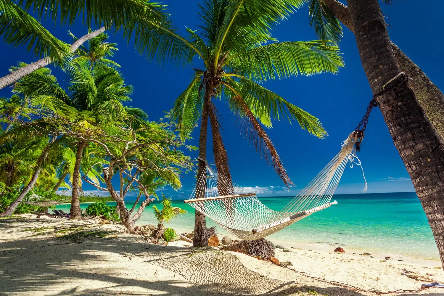 Heading away on a tropical vacation. Don't forget to check this packing list before you go.