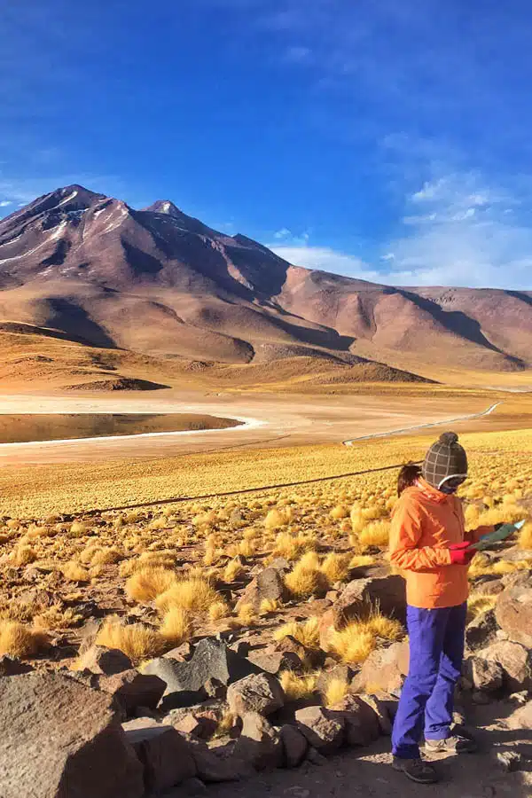 In the Atacama