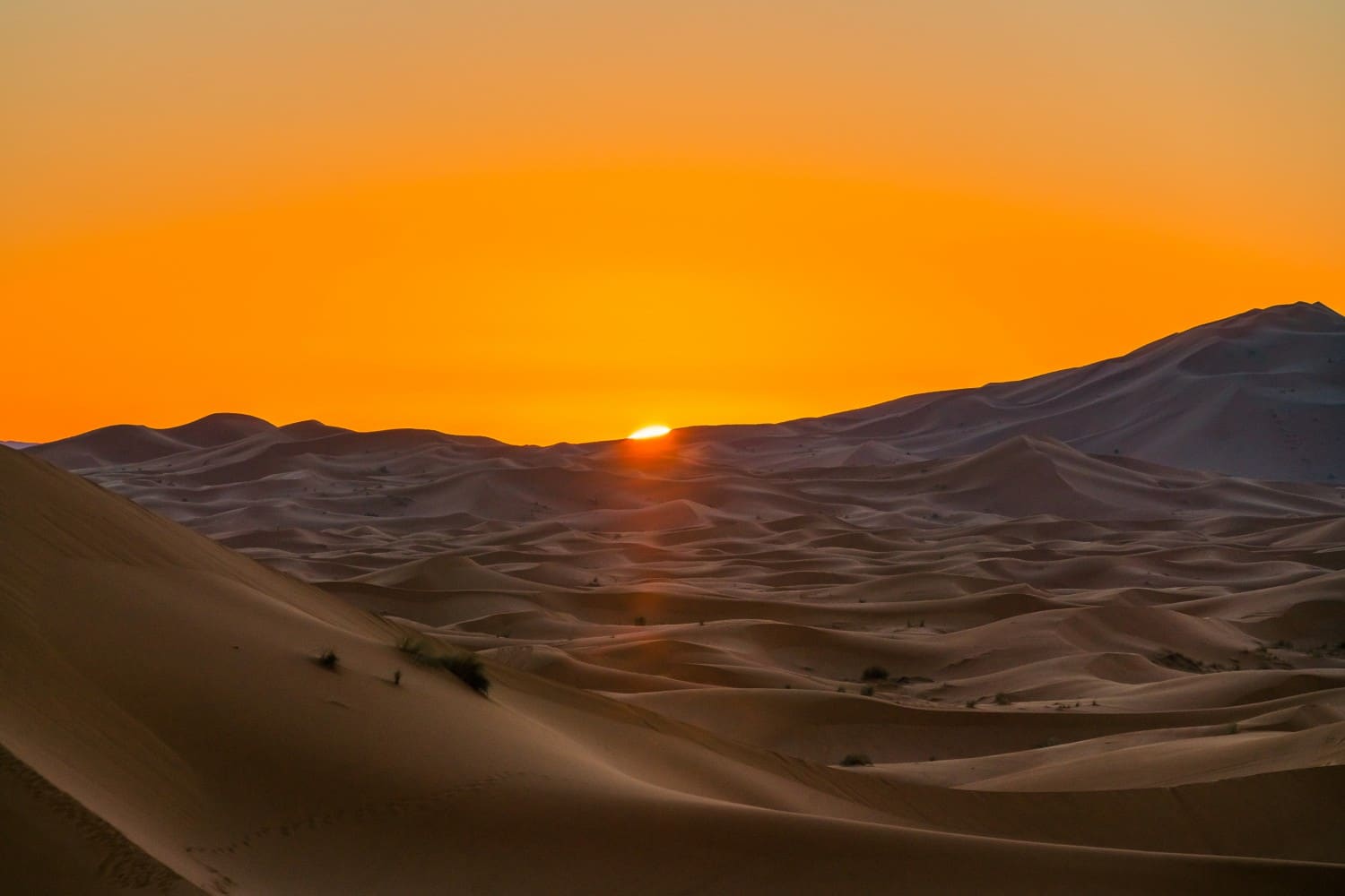 Sunrise over the Desert