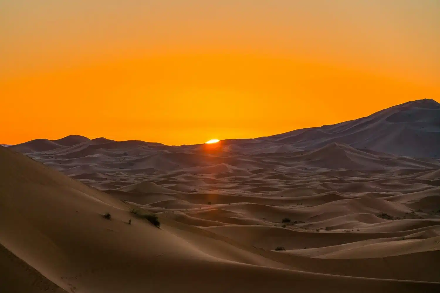 Sunrise over the Desert