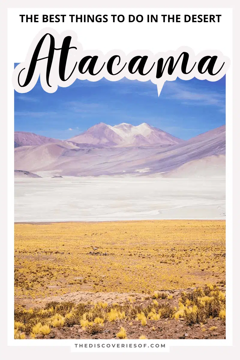 The Best Things to do in the Atacama Desert