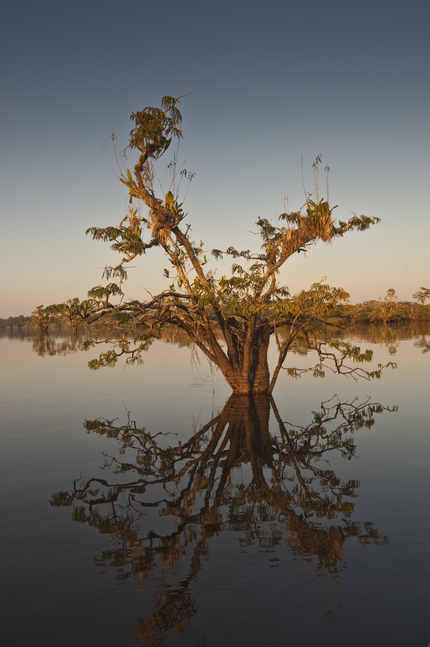 Amazon Rainforest South America Itinerary