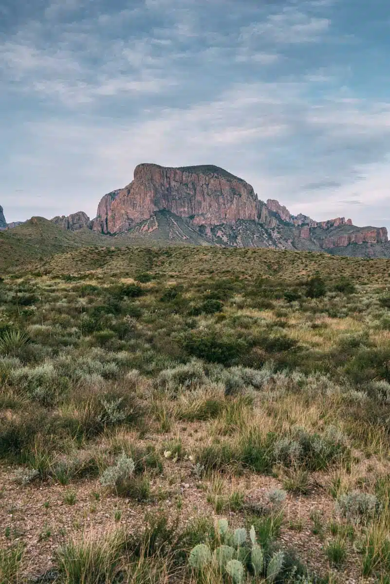 Emory Peak