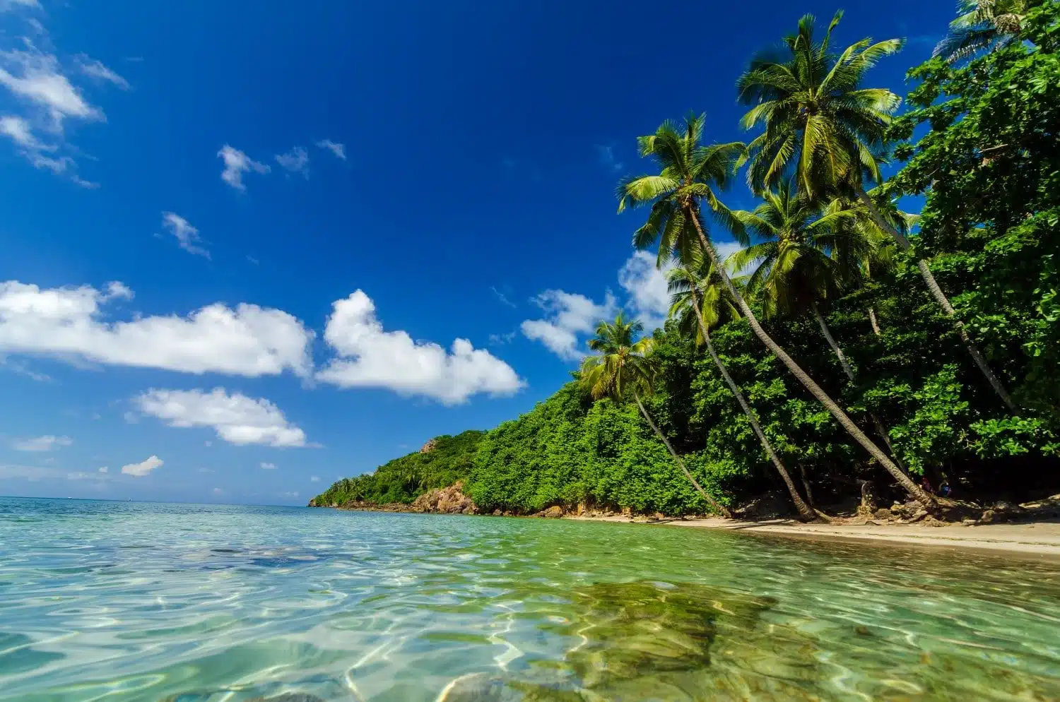 Providencia has some of the best beaches in Colombia