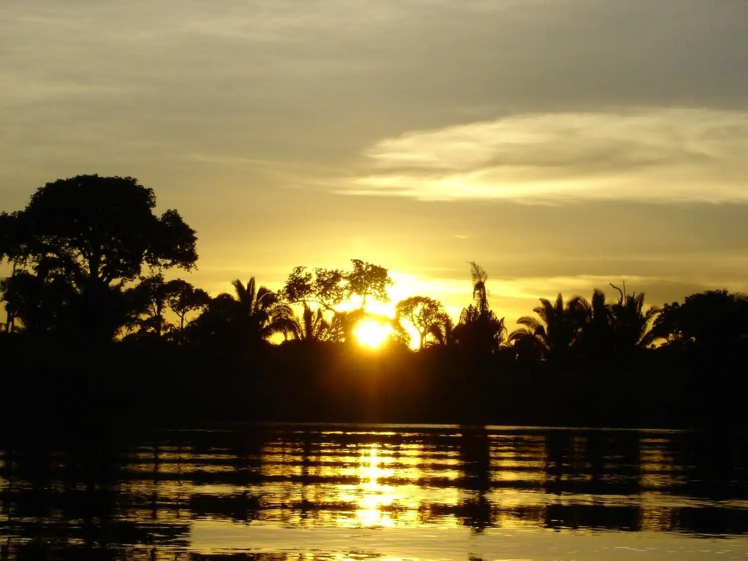 Sunset over the Amazon Rainforest