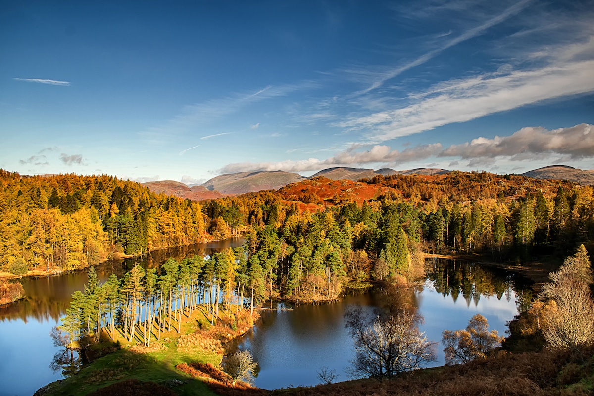 Tarn Hows Lake District