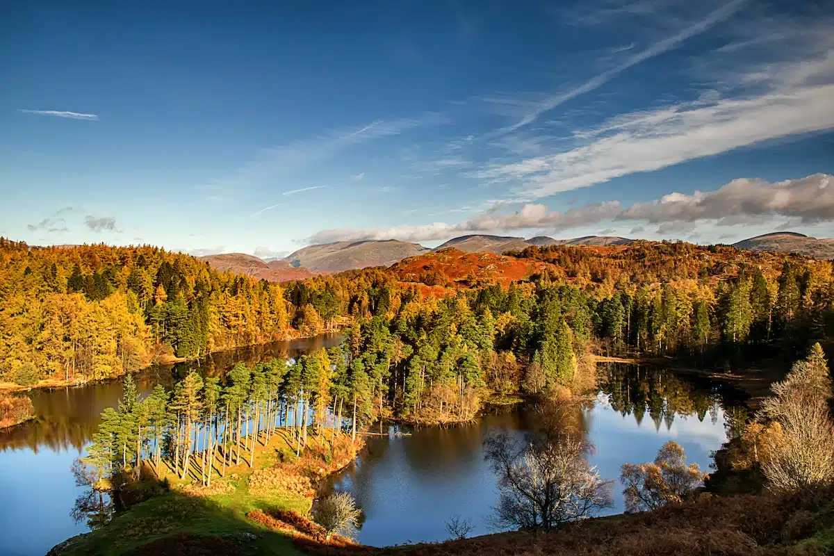 Tarn Hows Lake District