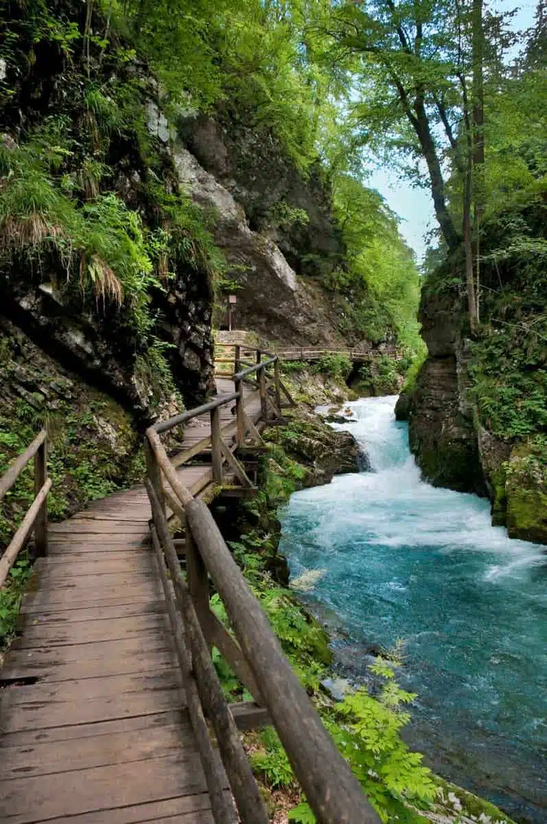 Vintgar Gorge Slovenia 