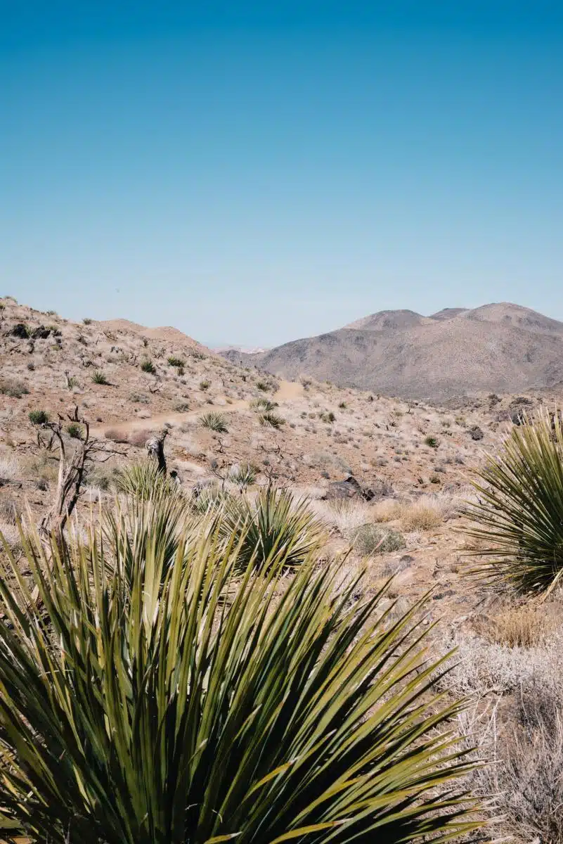 Lost Mine Trail