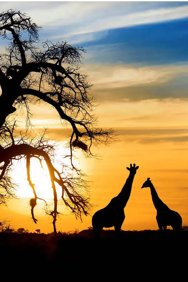 Affordable travel destinations