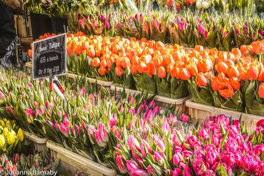 Tulips at Columbia Road