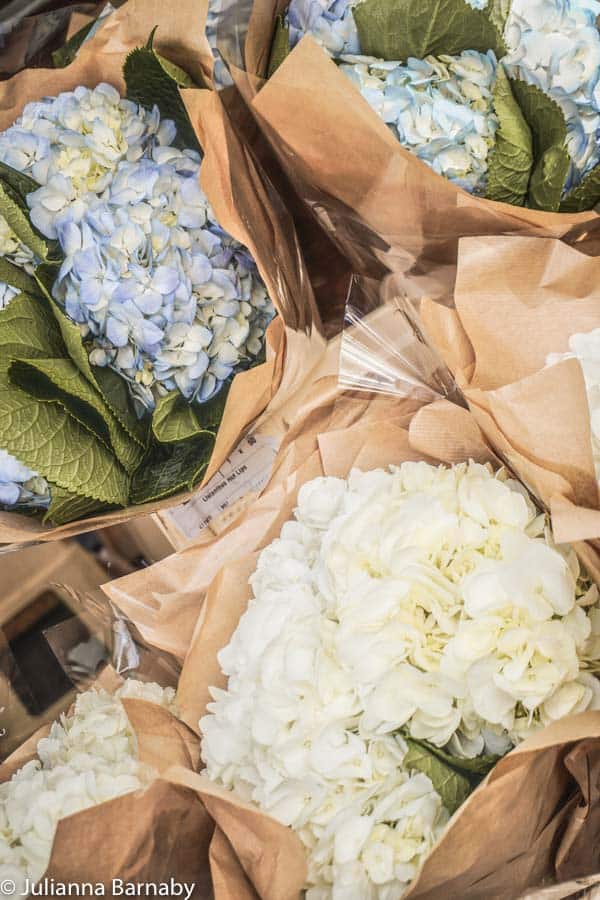 Hydrangea heads at the market