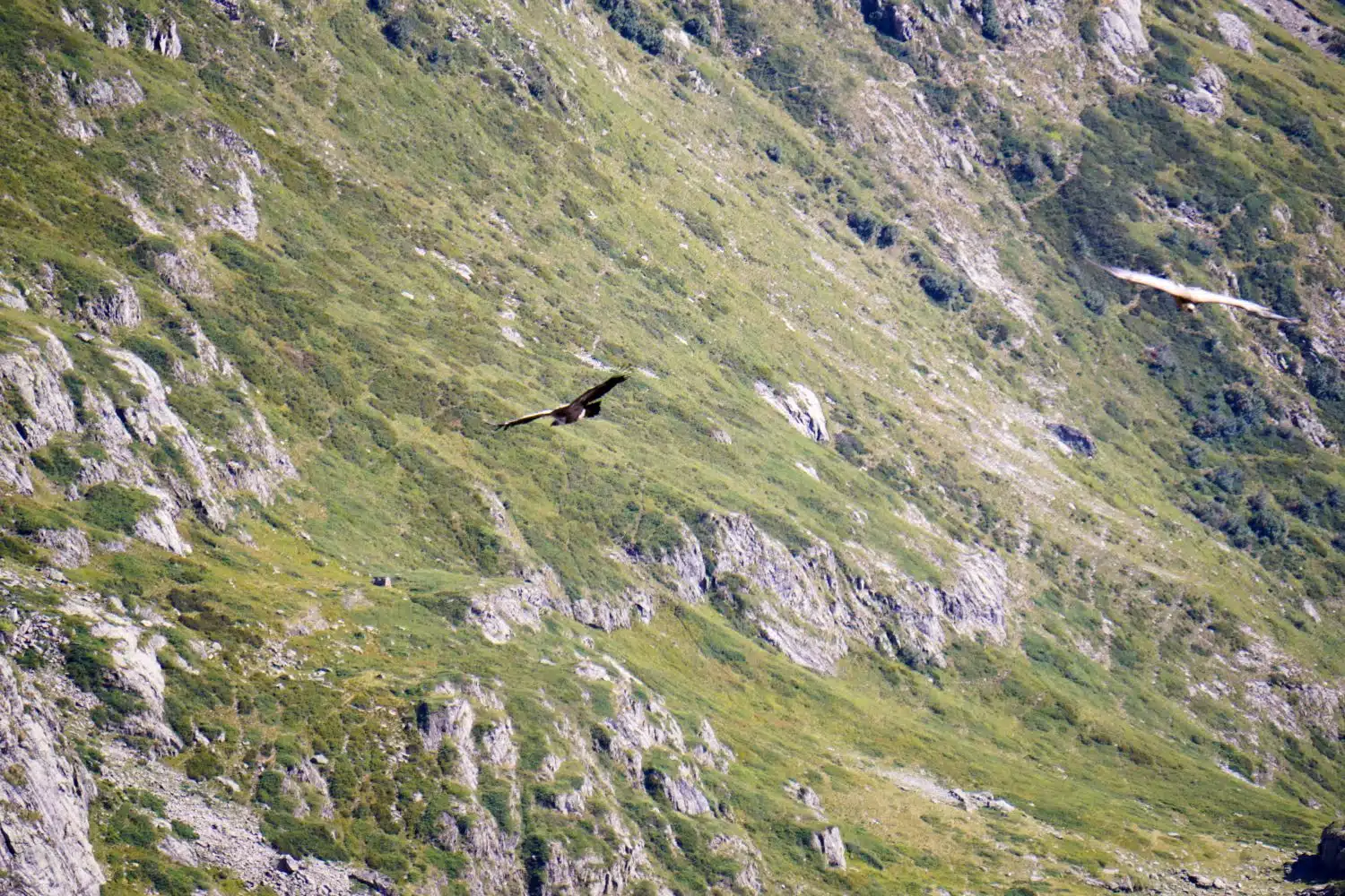 Ecrins National Park - Hiking in the French Alps-8