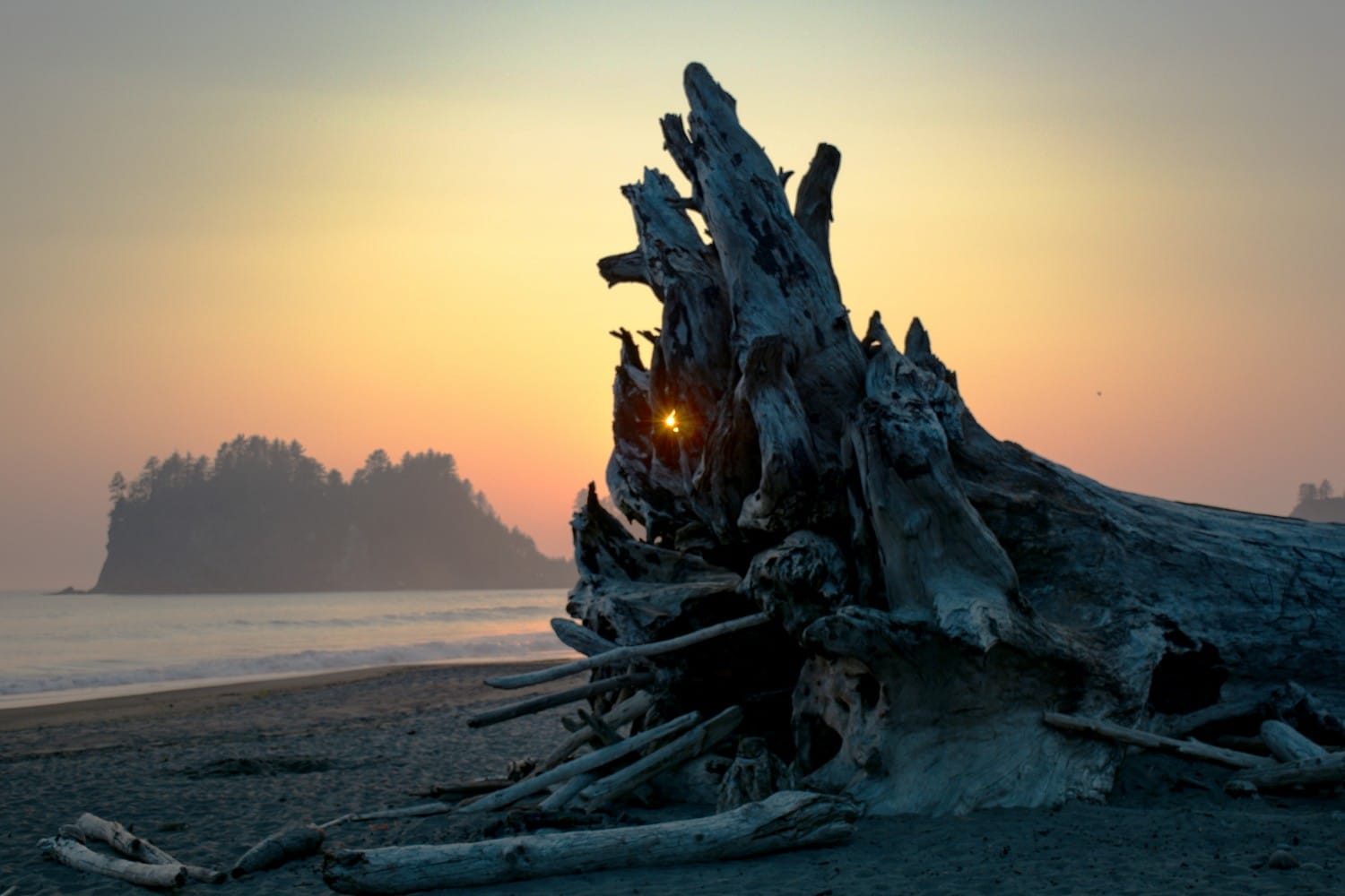 La Push Beach - Washington