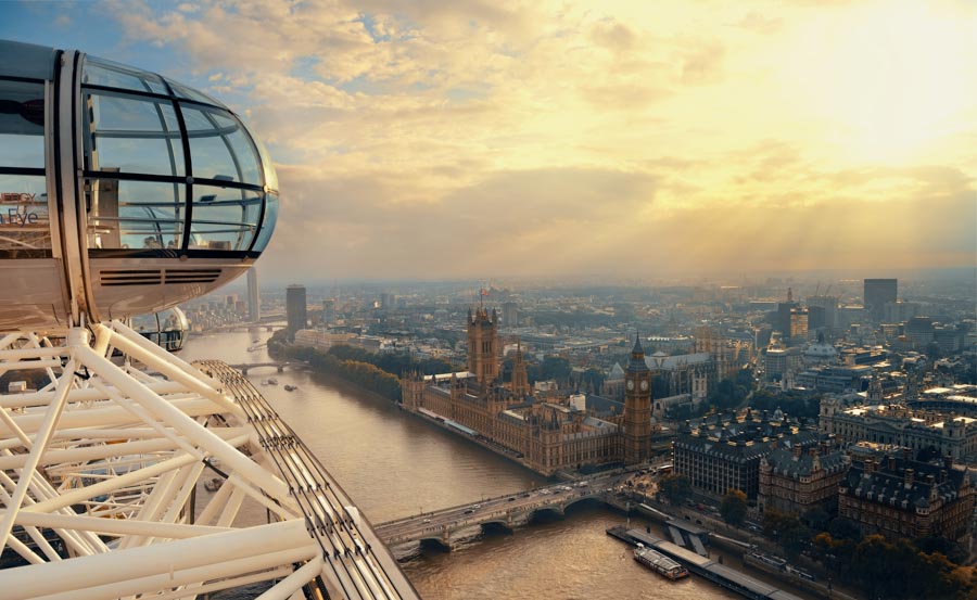 View from a Capsule