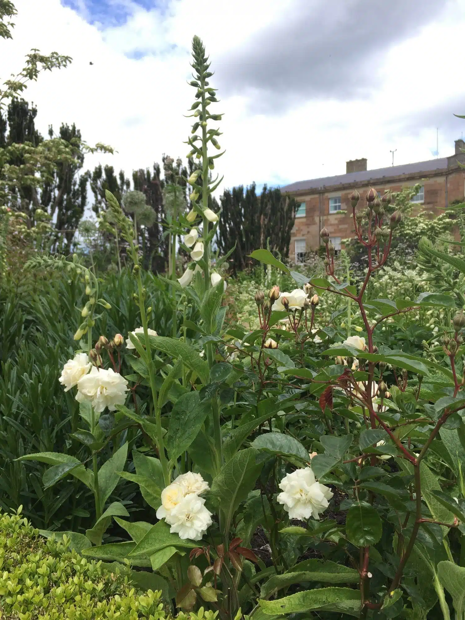 Northern Ireland Weekend Break - Hillsborough Castle