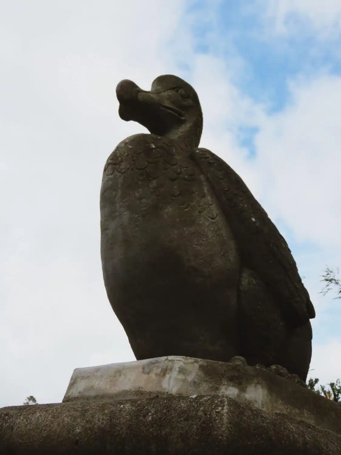 Northern Ireland Weekend Break - Dodo at Mount Stewart