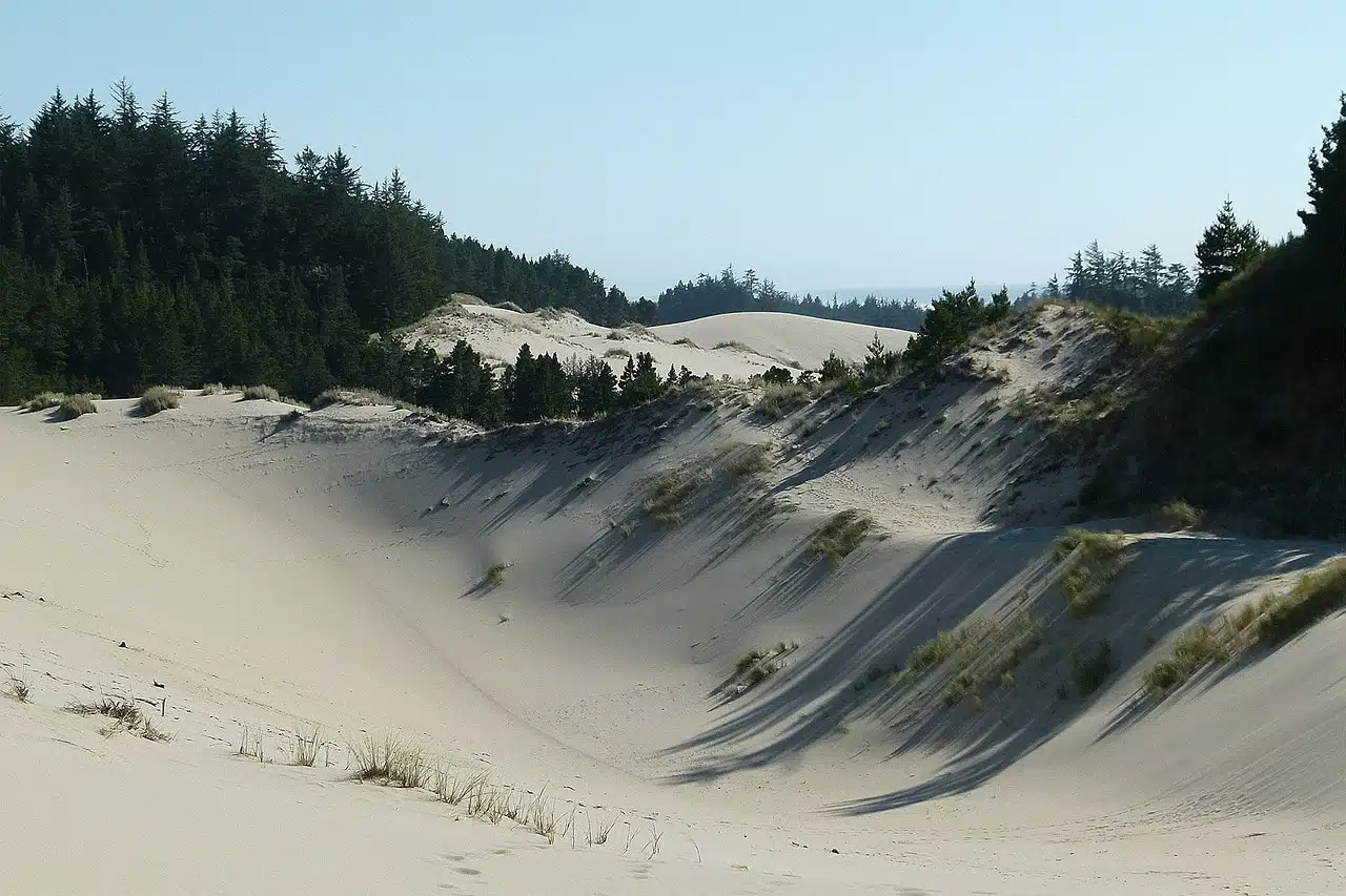 Oregon sand dunes