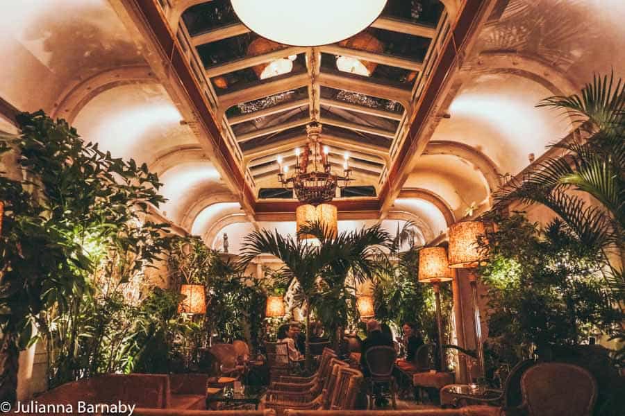 Winter Garden Bars - Winter garden bar launches at The Botanics