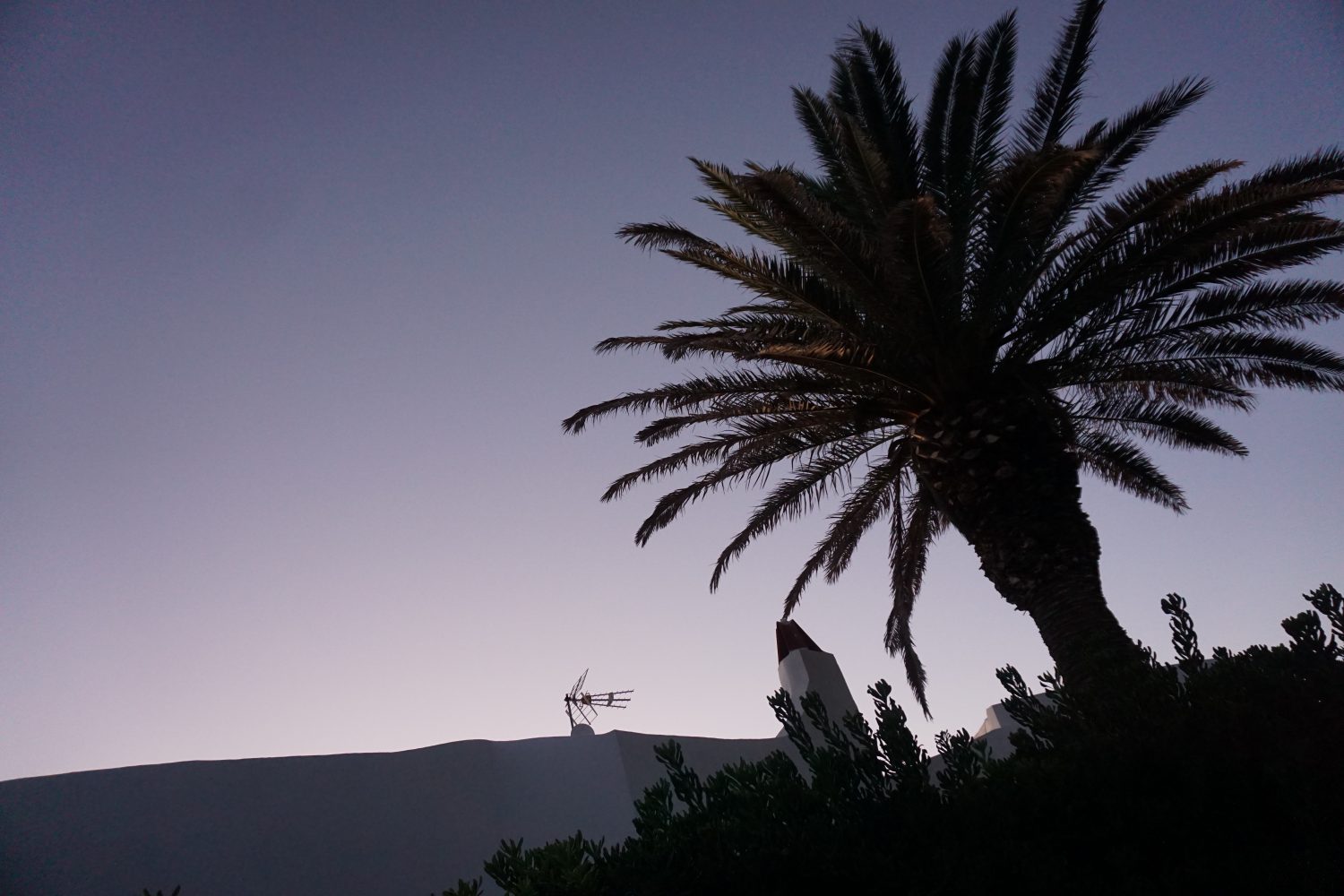 Sunset in Menorca - Palm Trees