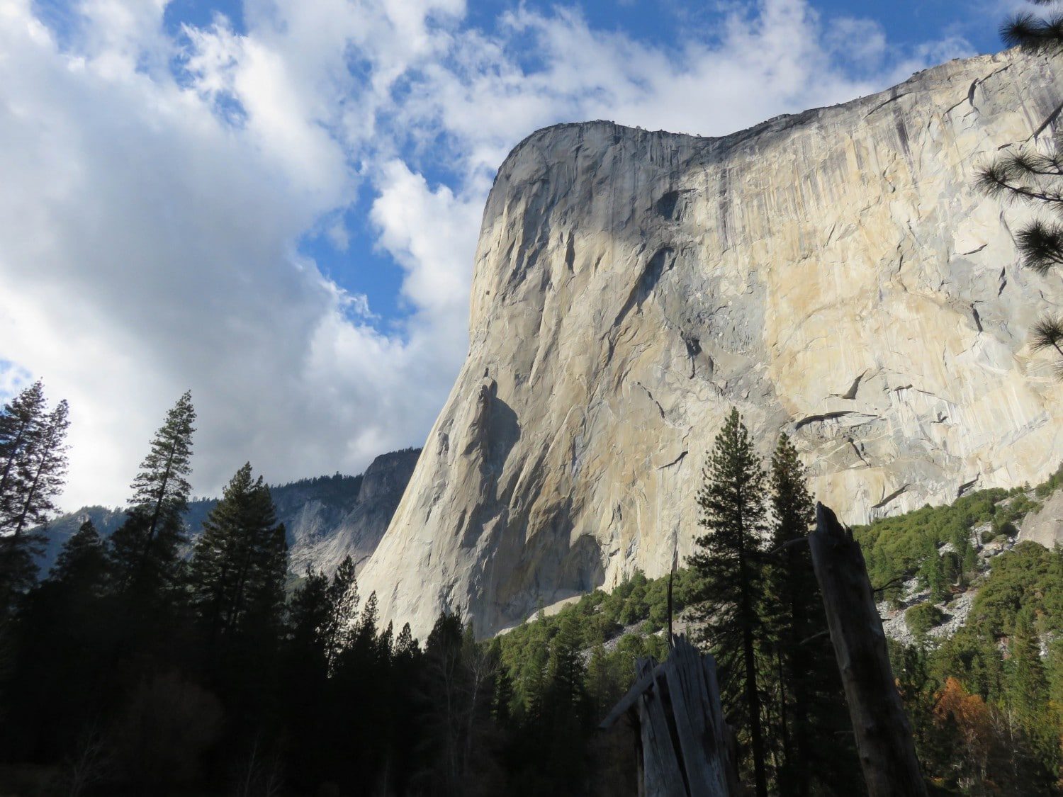 El Capitan. Yosemite