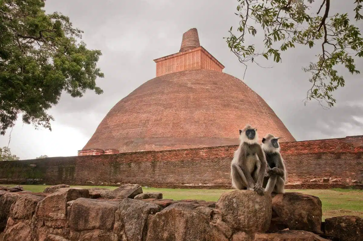 Anuradhapura