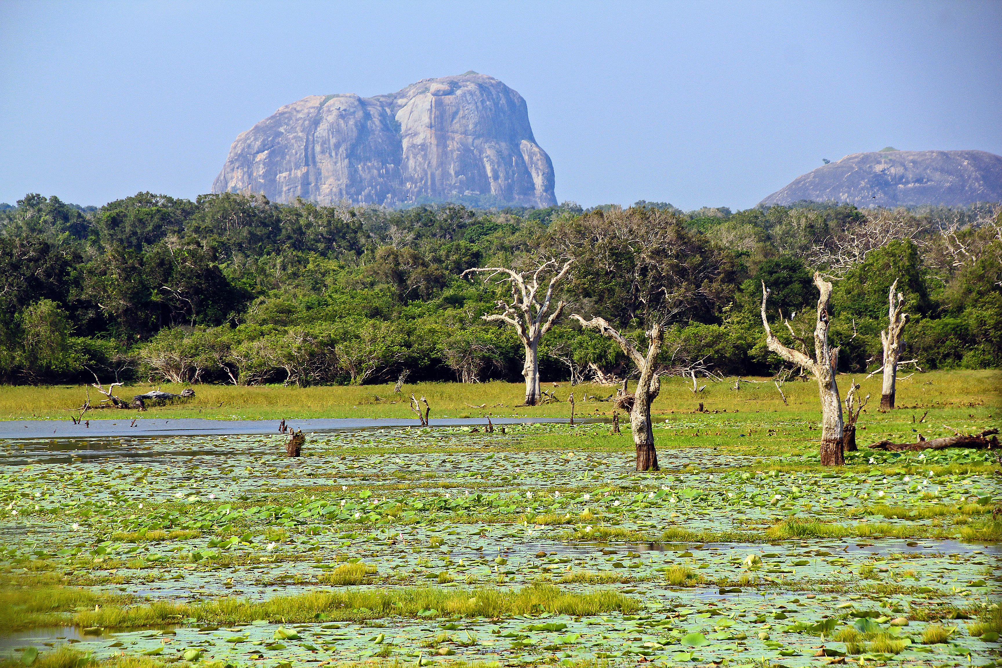 Yala, Sri Lanka