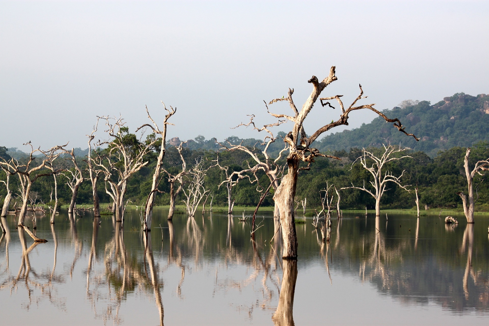 Yala National Park