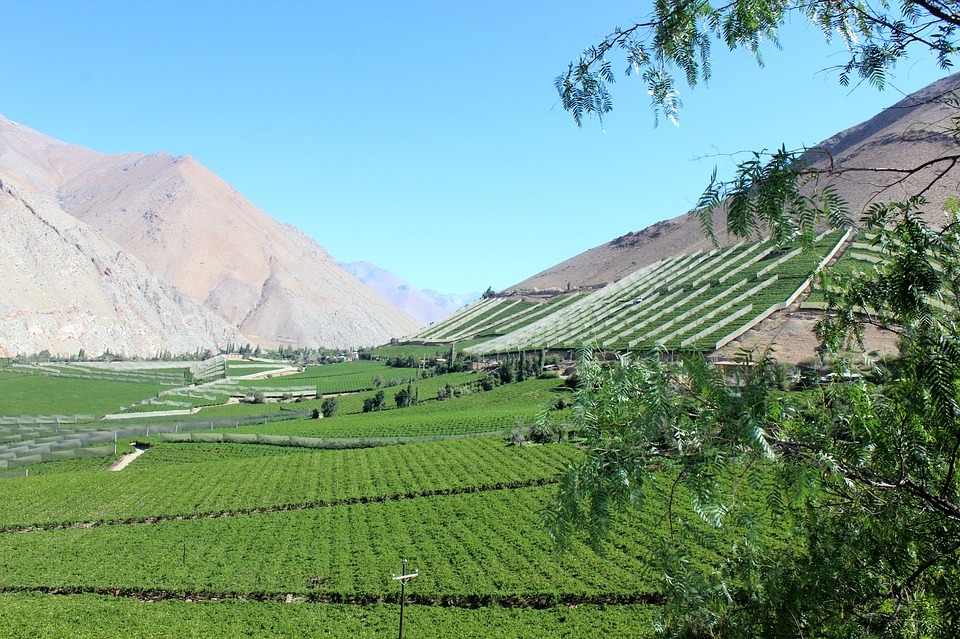 elqui valley