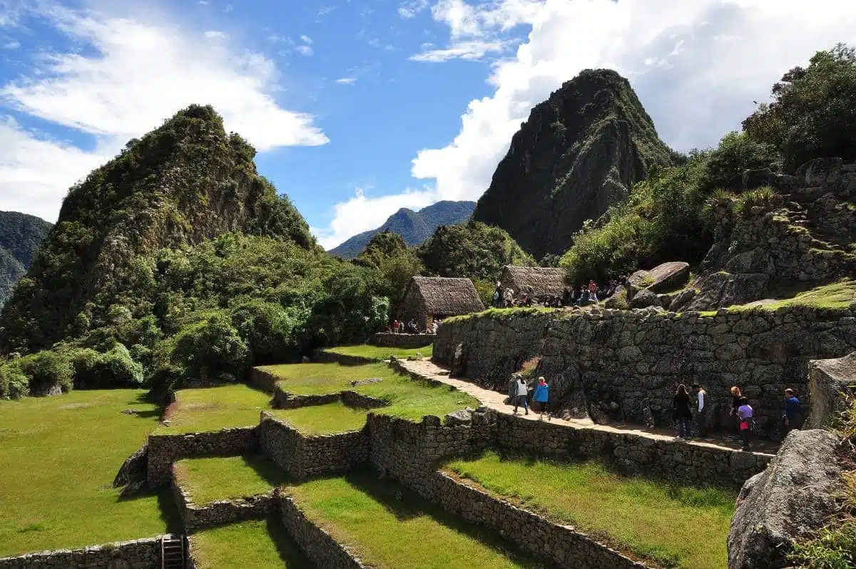 Inca Jungle /trail