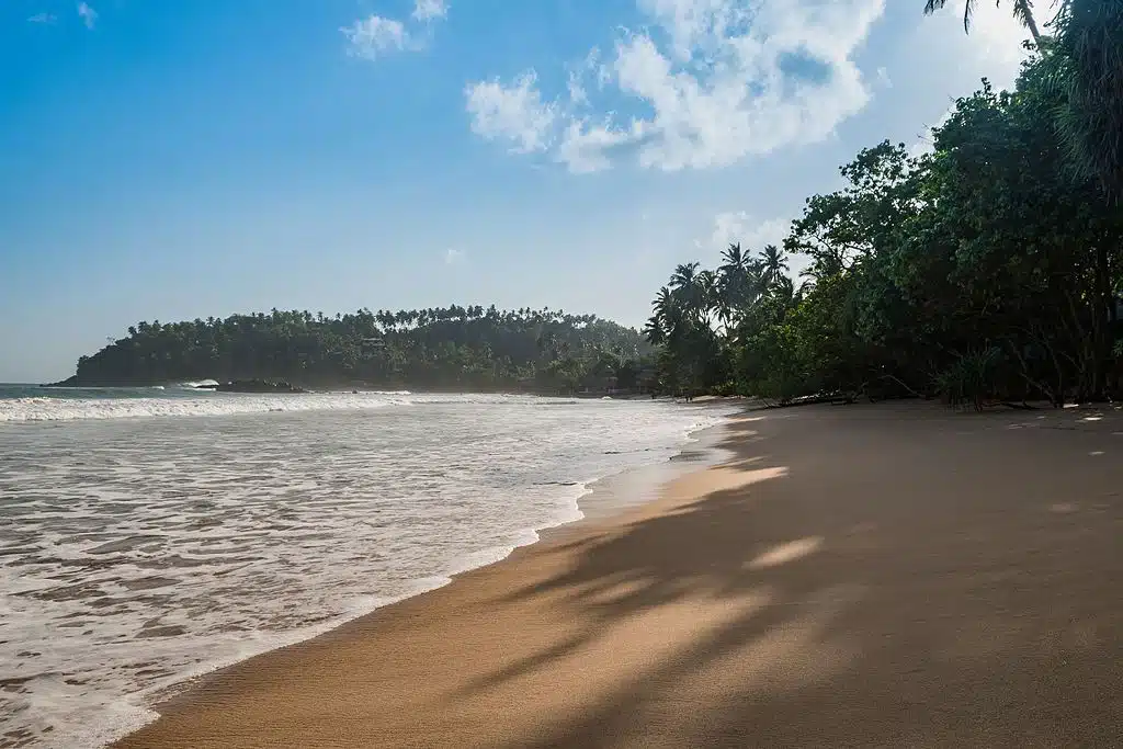 mount lavinia beach