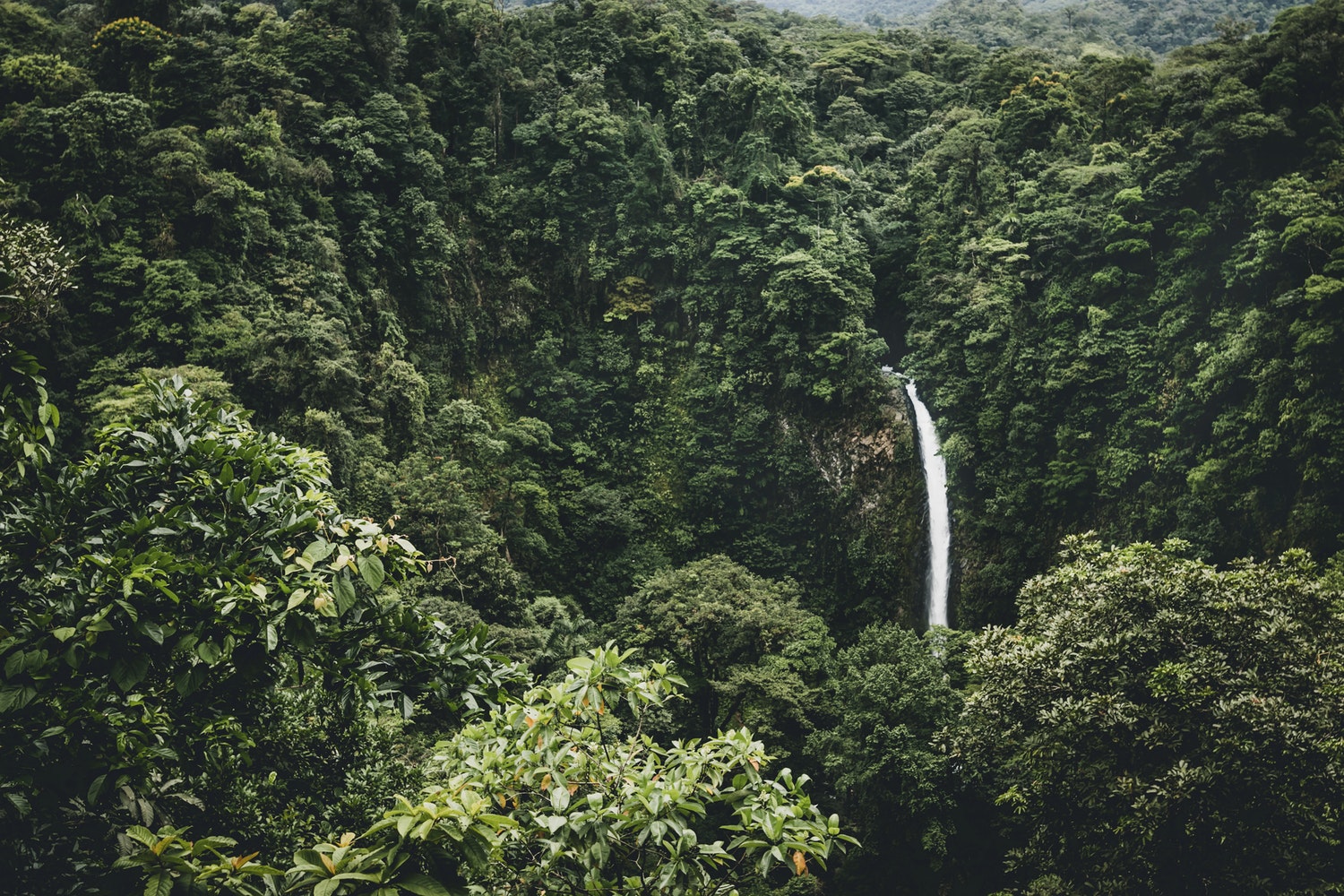so when is the best time to visit central america