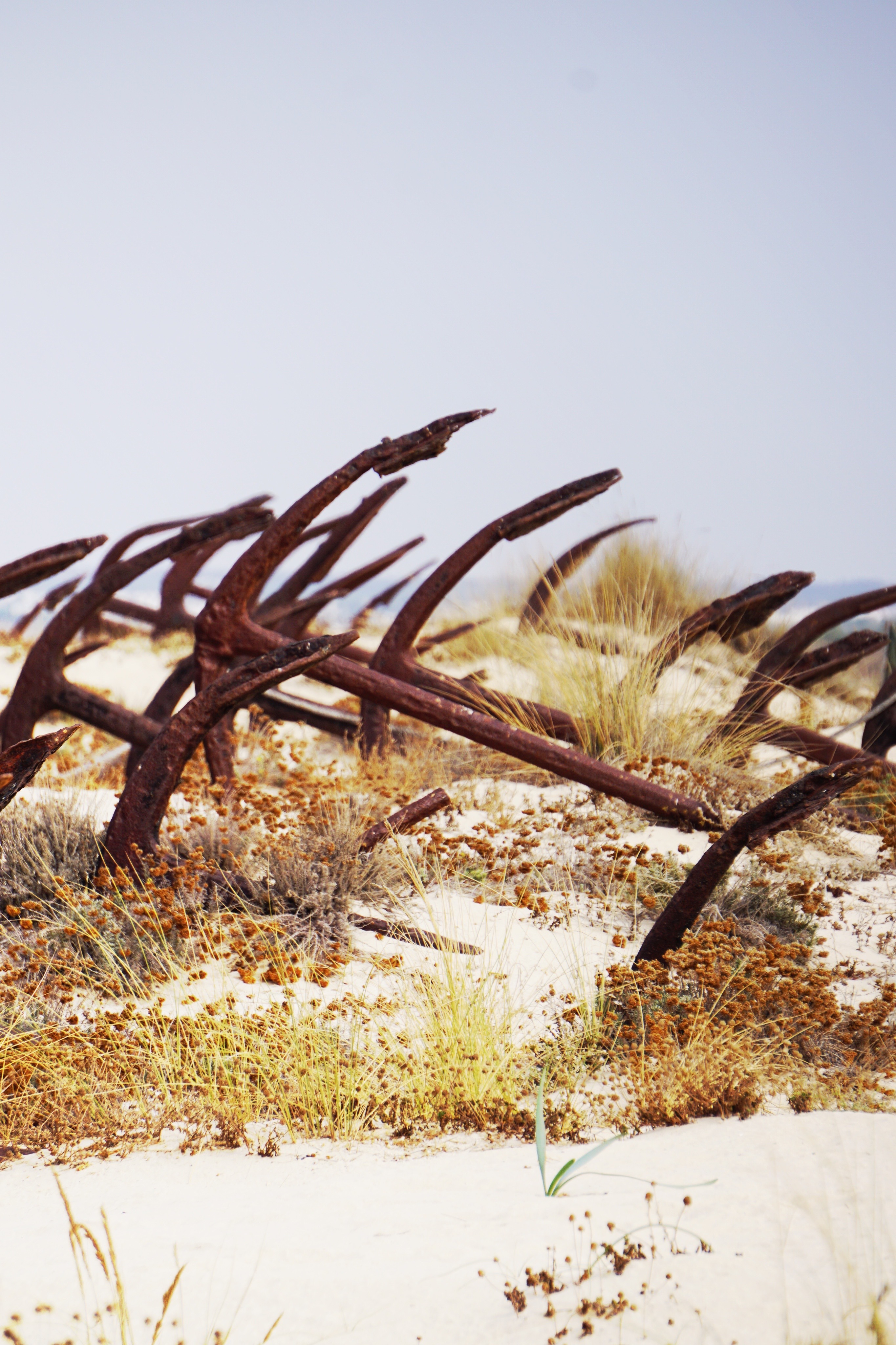 Anchor Cemetery at Praia do Barril, Portugal